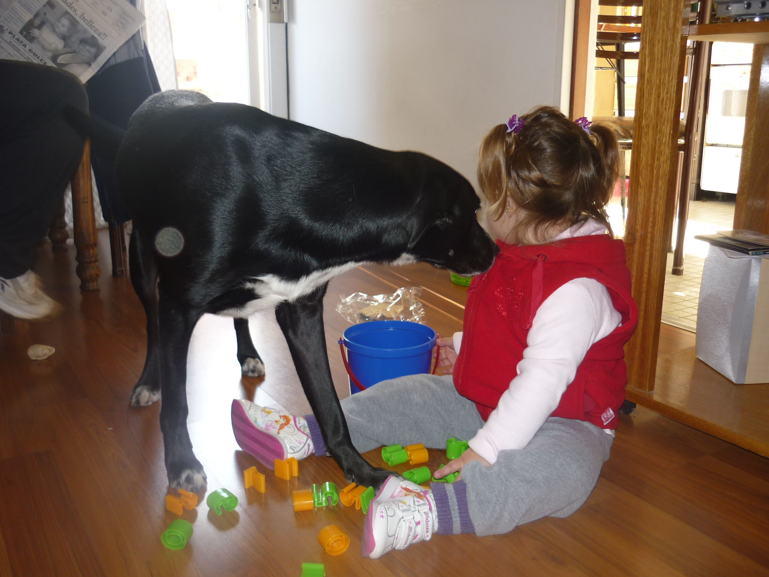 fotos/2012-06-16 - Rosario/P1020768.JPG